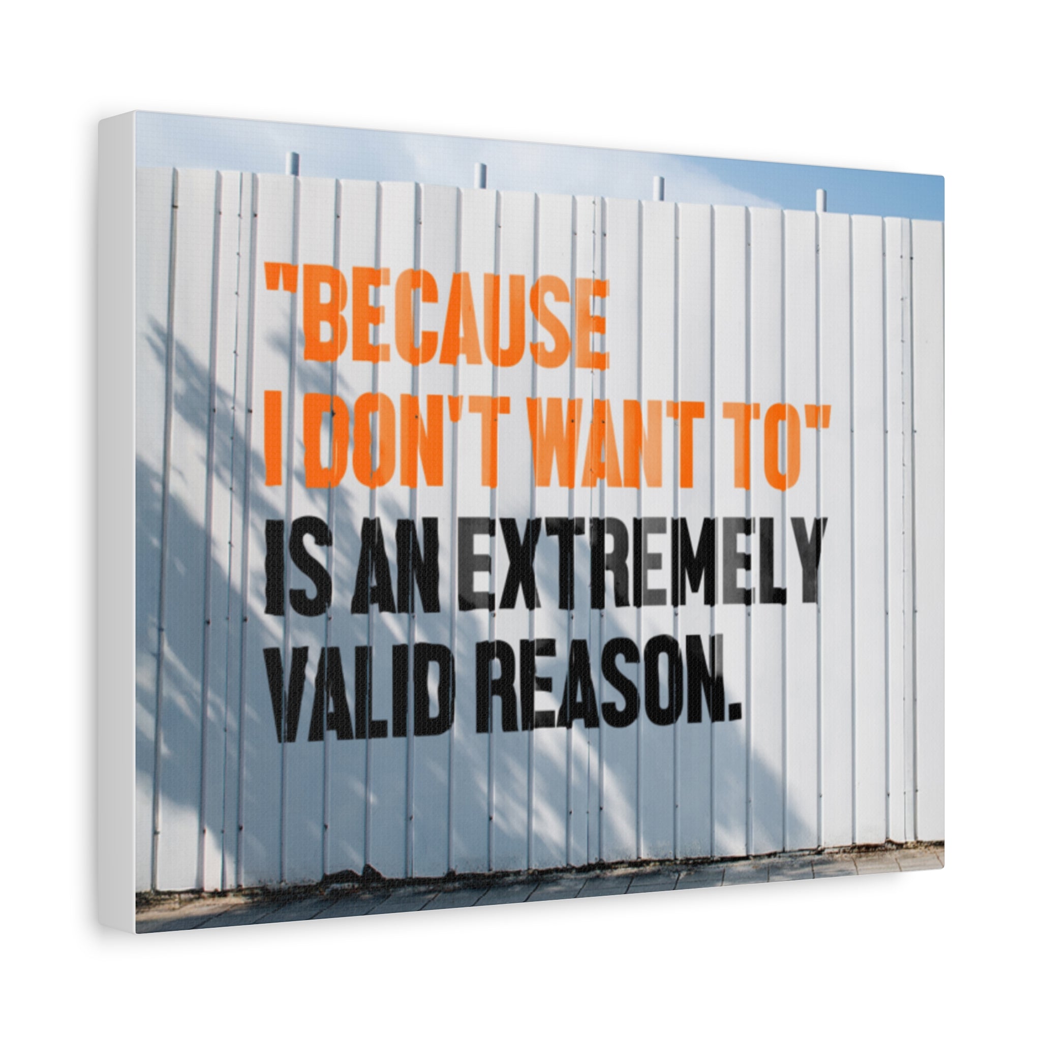 Matte Canvas Wall Art — "Because I Don't Want To" Motivational Quote Print