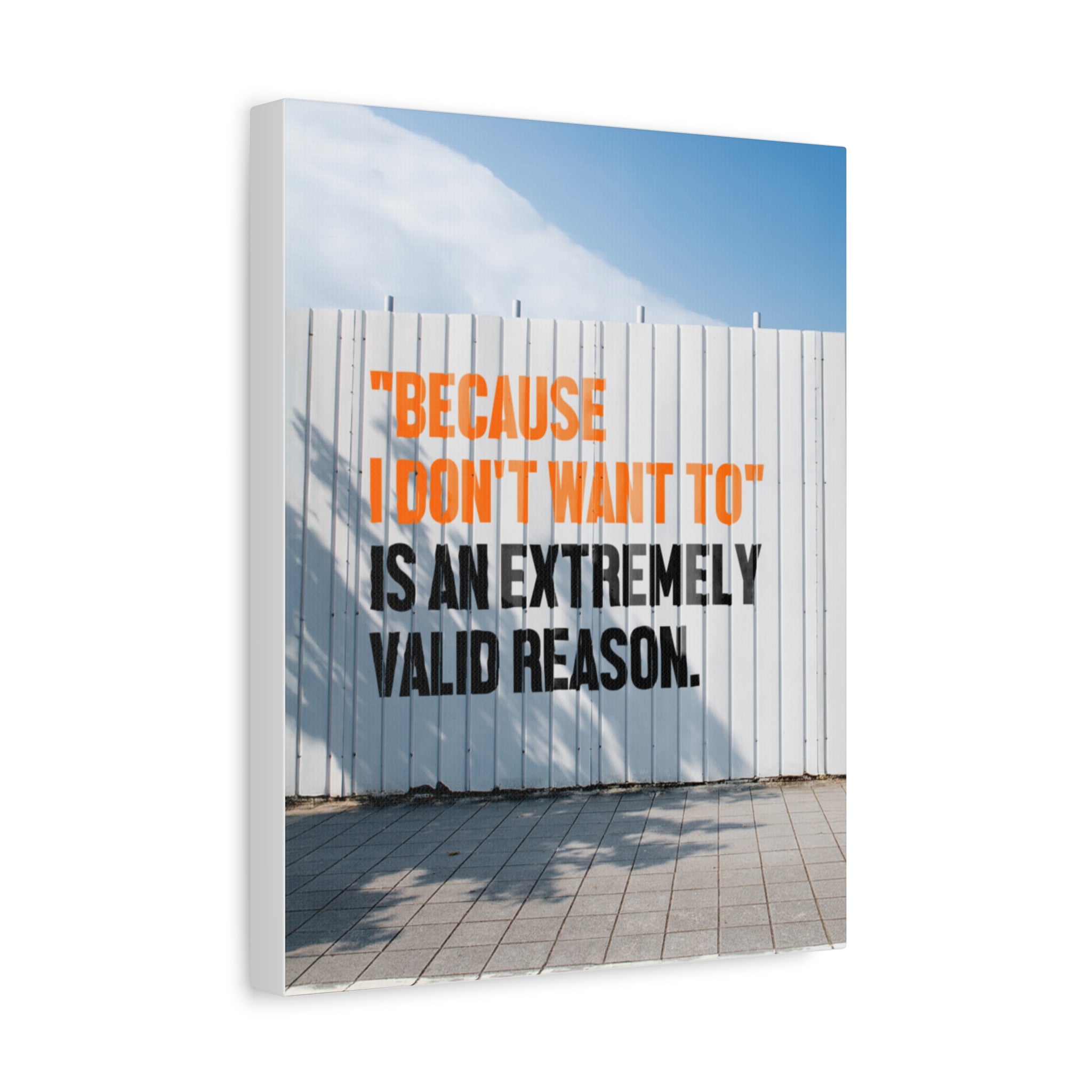 Matte Canvas Wall Art — "Because I Don't Want To" Motivational Quote Print