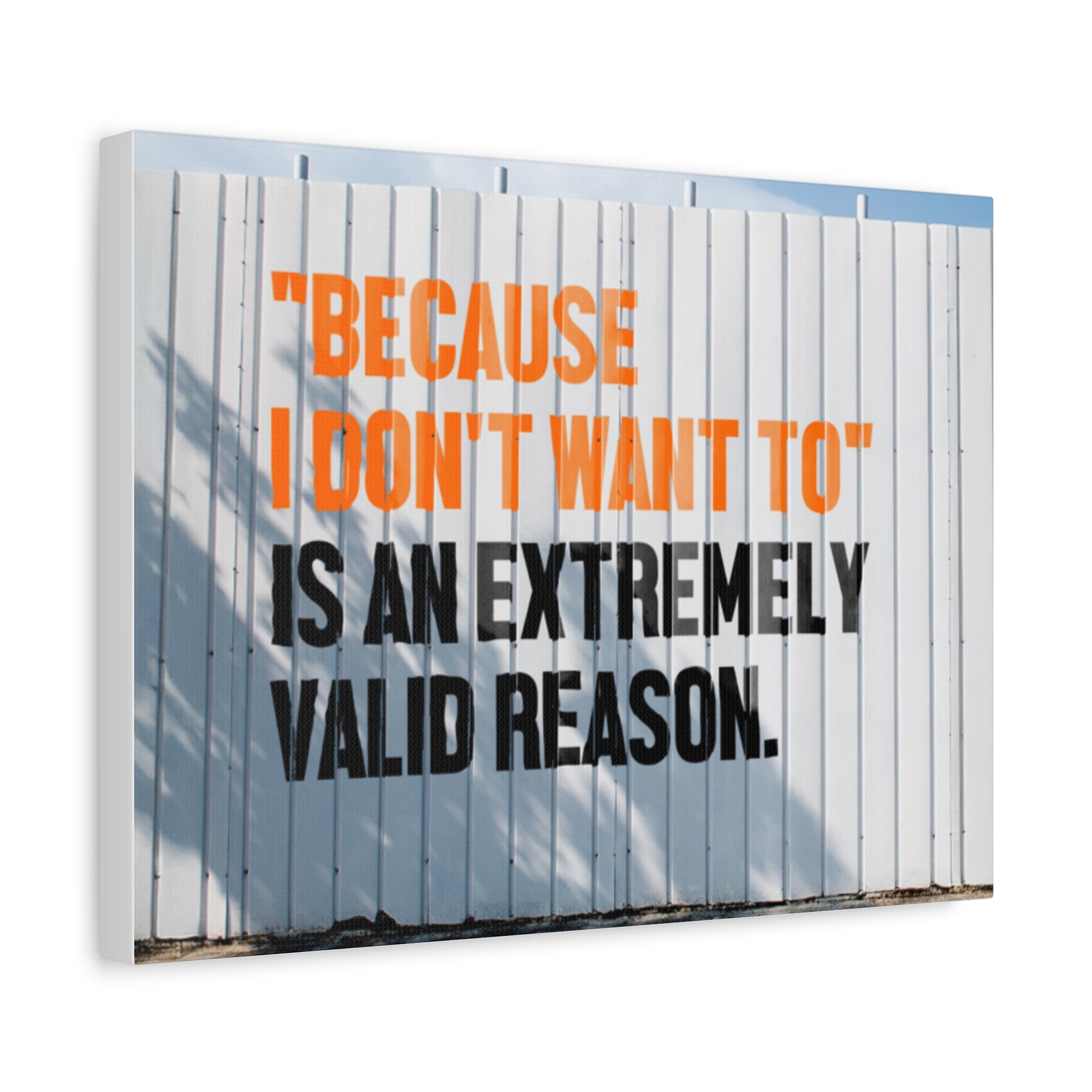 Matte Canvas Wall Art — "Because I Don't Want To" Motivational Quote Print