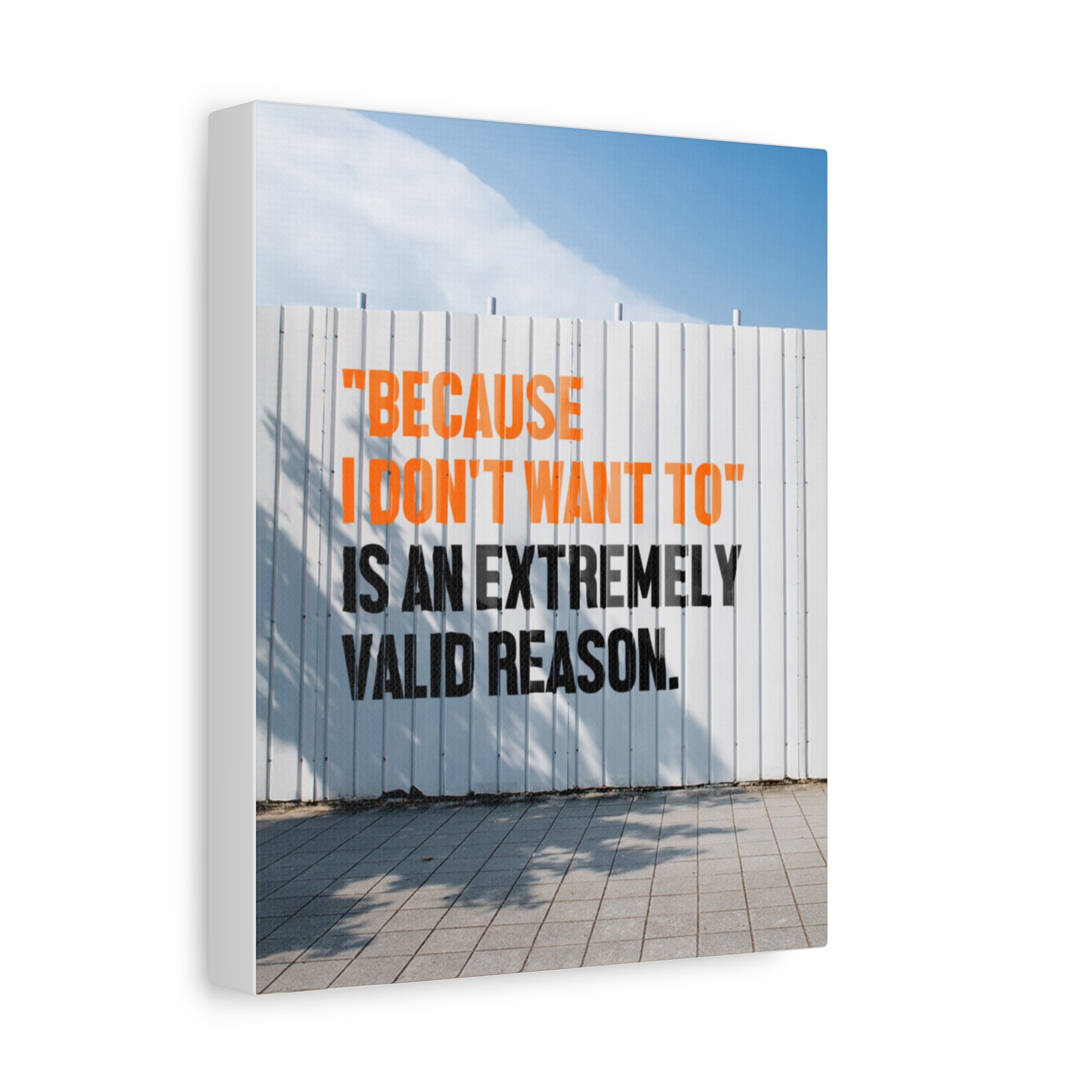 Matte Canvas Wall Art — "Because I Don't Want To" Motivational Quote Print